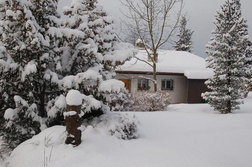 Chalet Sonnenblick Apartment Brienz  Bilik gambar