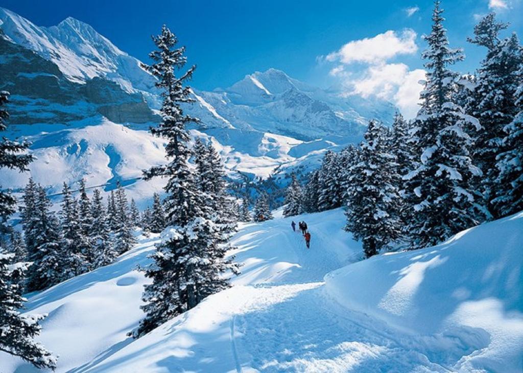 Chalet Sonnenblick Apartment Brienz  Luaran gambar